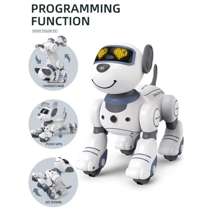 MYTOYS Remote Control Robot Dog