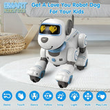 MYTOYS Remote Control Robot Dog