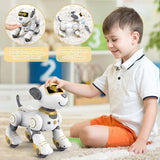 MYTOYS Remote Control Robot Dog