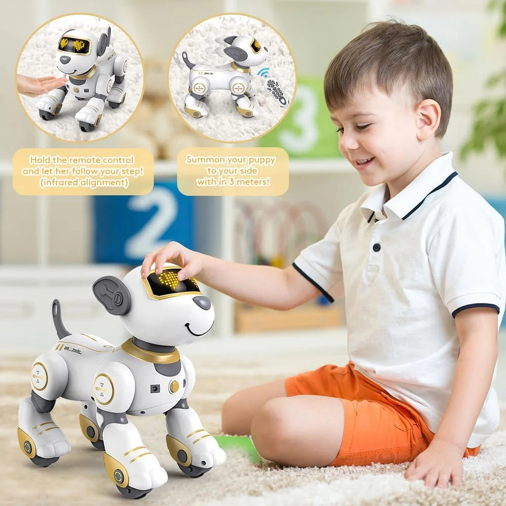MYTOYS Remote Control Robot Dog