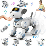 MYTOYS Remote Control Robot Dog