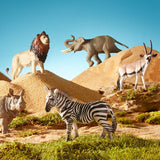 MiDeer Safari Animal Collectibles