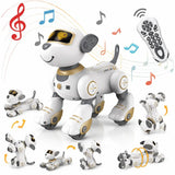 MYTOYS Remote Control Robot Dog