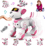 MYTOYS Remote Control Robot Dog
